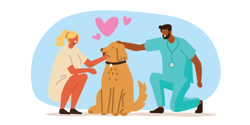 Pet insurance